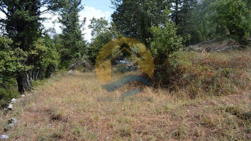 Investment plot with a beautiful sea view in a peaceful village of Dobrota, near Kotor Old Town and Perast. 7