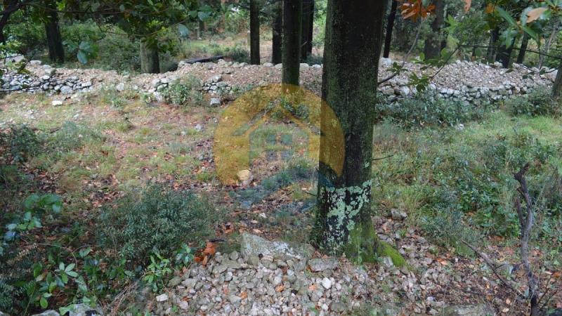 Investment plot with a beautiful sea view in a peaceful village of Dobrota, near Kotor Old Town and Perast. 8