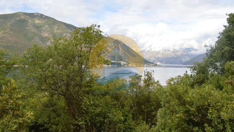 Investment plot with a beautiful sea view in a peaceful village of Dobrota, near Kotor Old Town and Perast. 9