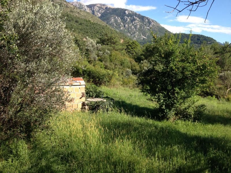 Nekretnina u Kotoru, 695m²