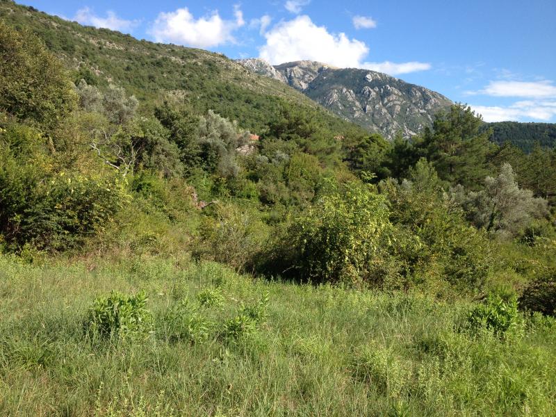 Two plots for sale in the village of Kavac, near Kotor, urbanized 3