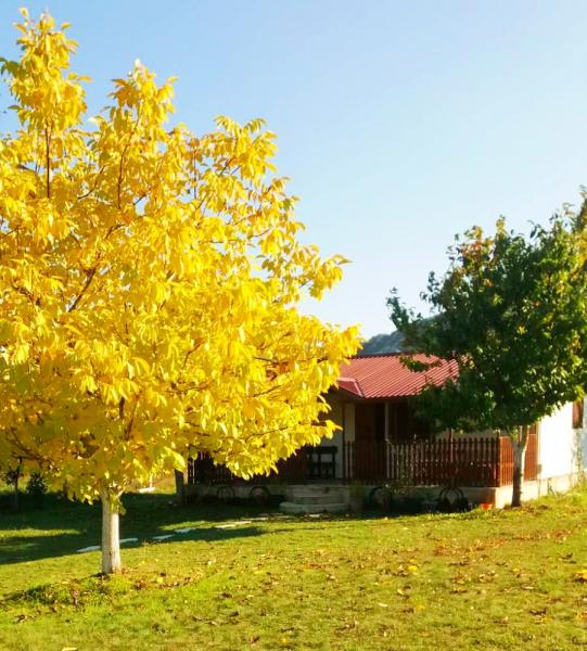 Large plot with a house in Grahovo 4