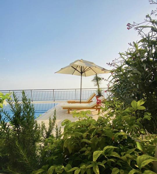 Luxurious villa in Dobre Vode 10