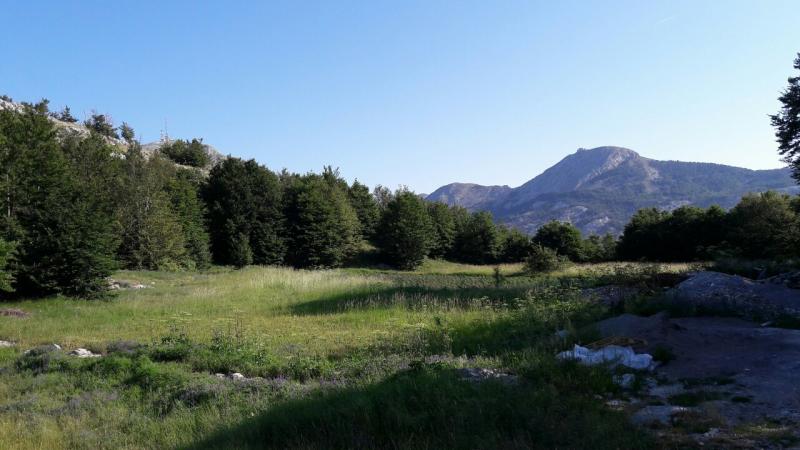 Nekretnina na Cetinju, 0m² 3