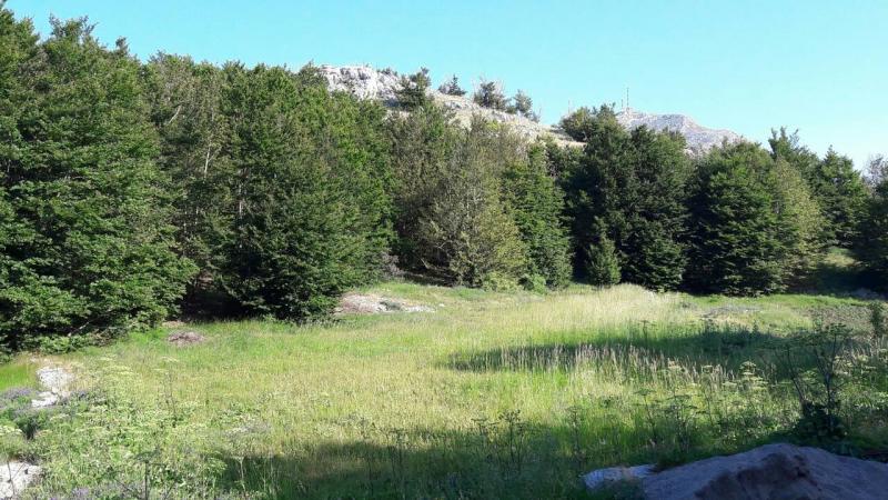 Nekretnina na Cetinju, 0m² 4