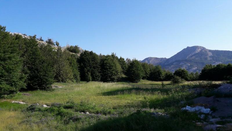 Nekretnina na Cetinju, 0m² 6